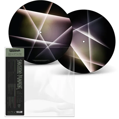 Artist - SHINY AND OH SO BRIGHT, VOL. 1 / LP: NO PAST. NO FUTURE. NO SUN. vinyl record cover