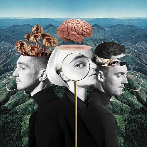 Clean Bandit - What Is Love? vinyl record cover
