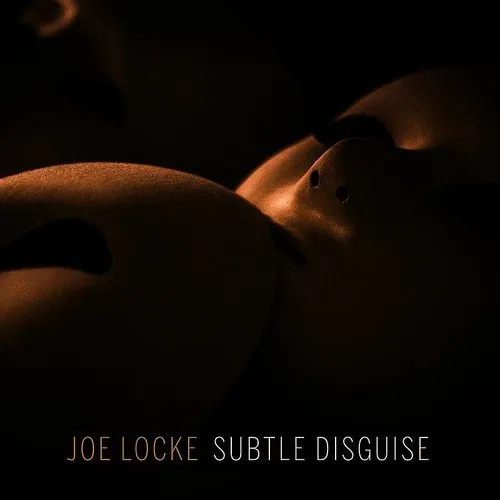 Joe Locke - Subtle Disguise vinyl record cover