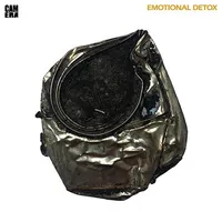 Emotional Detox