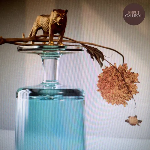 Beirut - Gallipoli vinyl record cover