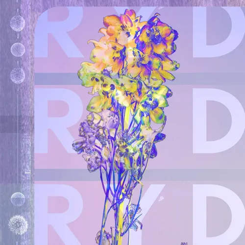 RYD - Ryd vinyl record cover