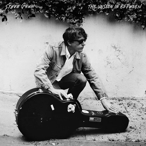 Steve Gunn - Unseen In Between vinyl record cover