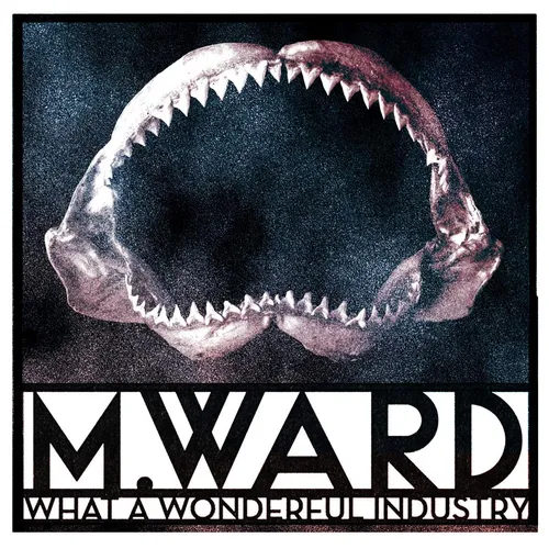 M. Ward - What A Wonderful Industry vinyl record cover