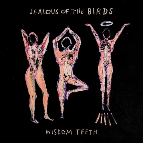 Jealous of the Birds - Wisdom Teeth EP vinyl record cover