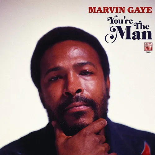 Marvin Gaye - You're The Man (Japan Version) vinyl record cover