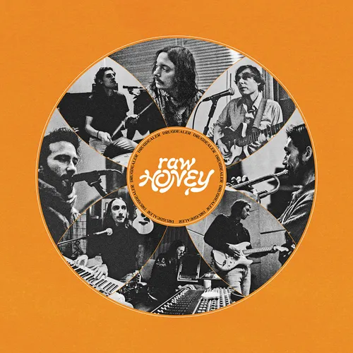 Drugdealer - Raw Honey vinyl record cover
