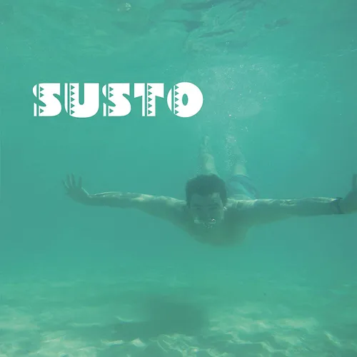 SUSTO - Susto vinyl record cover