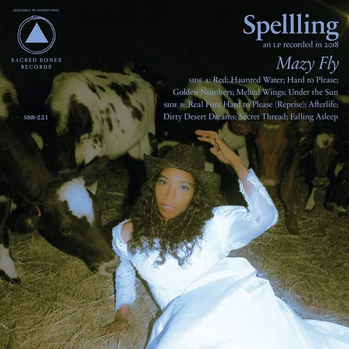 SPELLLING - Mazy Fly vinyl record cover