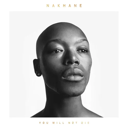 Nakhane - You Will Not Die vinyl record cover