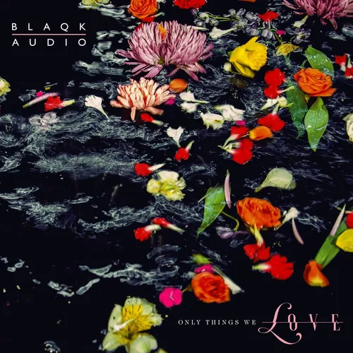 Blaqk Audio - Only Things We Love vinyl record cover
