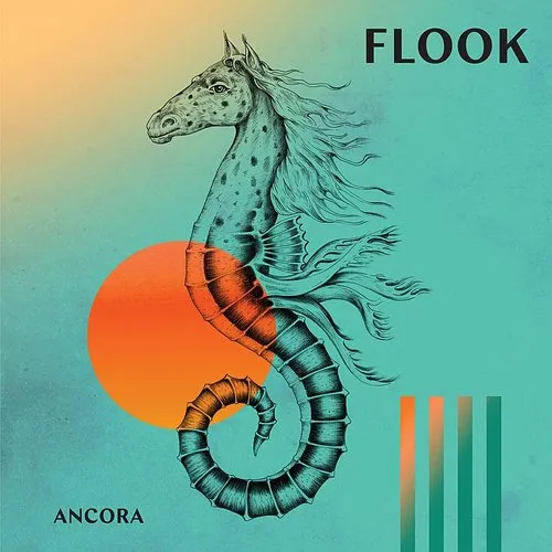 Flook - Ancora vinyl record cover