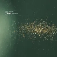 Trian: Recent Works