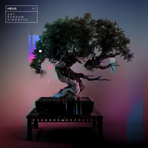 Hælos - Any Random Kindness vinyl record cover