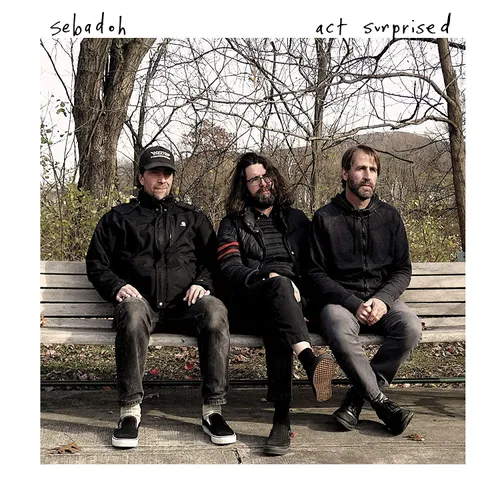 Sebadoh - Act Surprised vinyl record cover