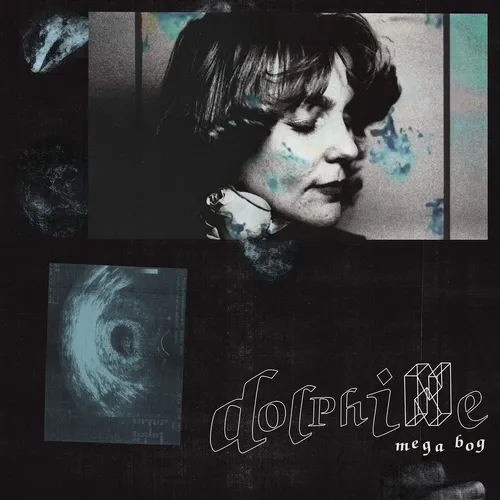 Mega Bog - Dolphine vinyl record cover