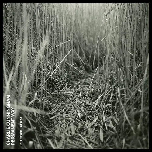 Charlie Cunningham - Permanent Way vinyl record cover