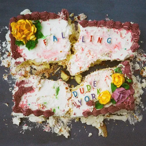 Dude York - Falling vinyl record cover
