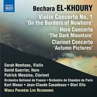 Violin Horn & Clarinet Cons