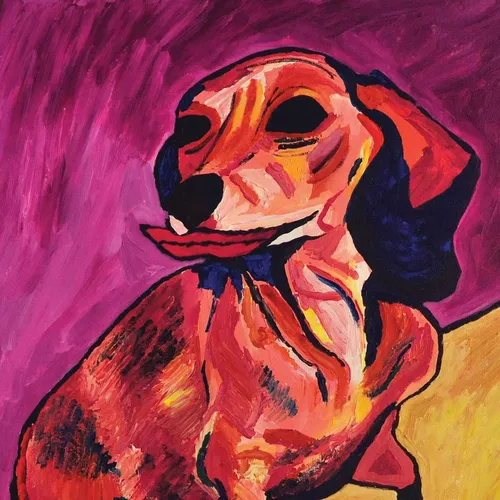 Ty Segall - Fanny vinyl record cover