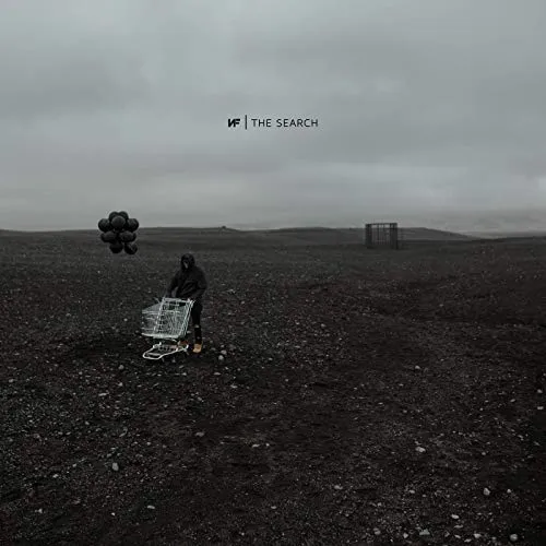 NF - The Search vinyl record cover
