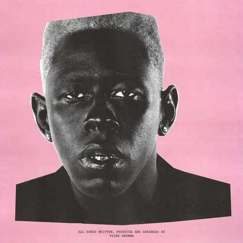 Tyler, The Creator - IGOR vinyl record cover
