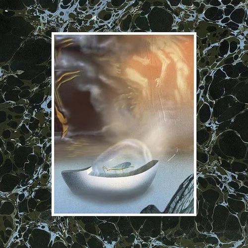 Wand - Laughing Matter vinyl record cover
