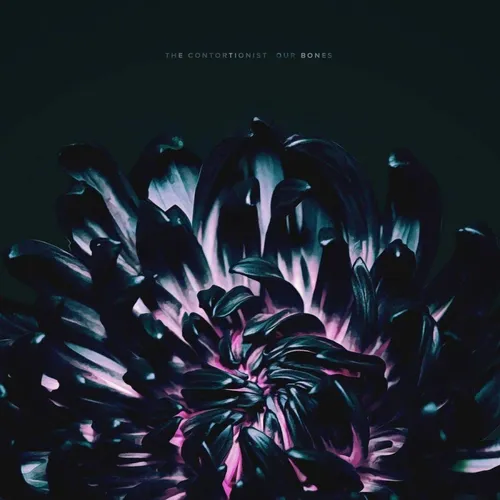 The Contortionist - Our Bones vinyl record cover