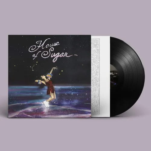 Alex G - House Of Sugar vinyl record cover