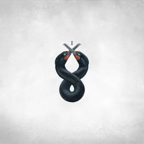 San Fermin - The Cormorant I vinyl record cover