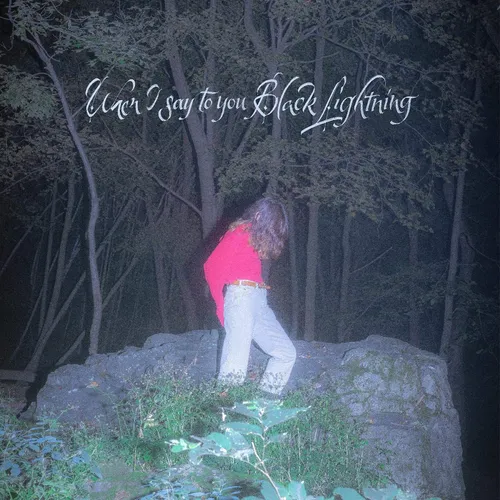 Common Holly - When I Say To You Black Lightning vinyl record cover