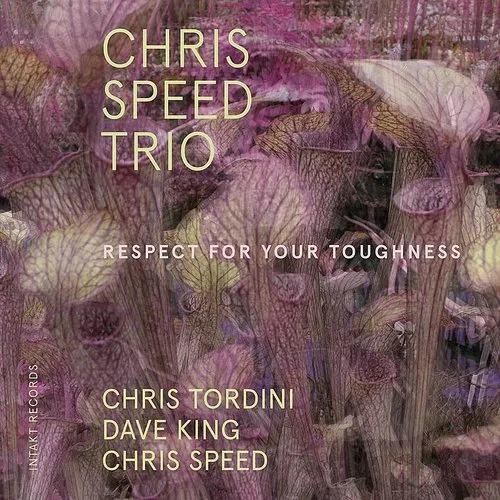Speed / Tordini / King - Respect for Your Toughness vinyl record cover