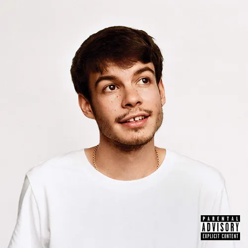 Rex Orange County - Pony vinyl record cover