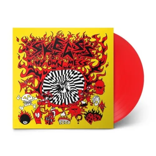 Skegss - My Own Mess vinyl record cover