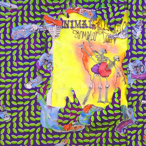 Animal Collective - Ballet Slippers vinyl record cover