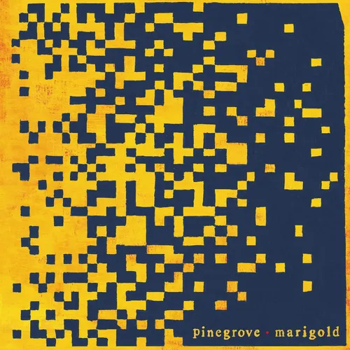 Pinegrove - Marigold vinyl record cover