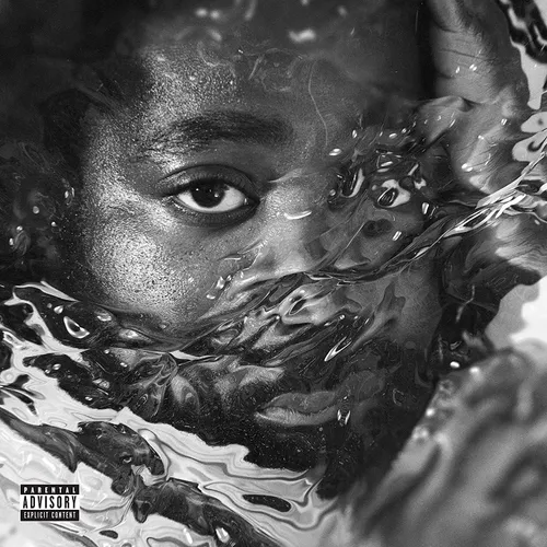 R.Lum.R - Surfacing vinyl record cover