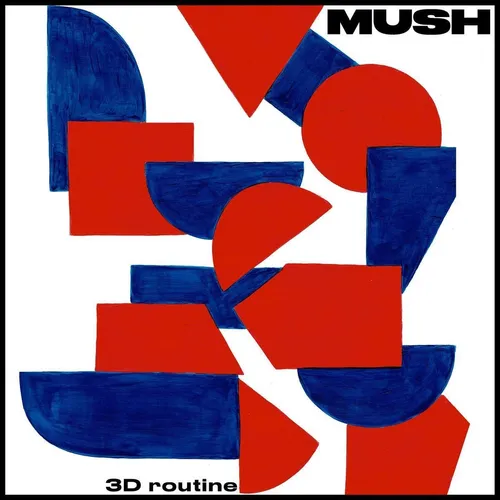 Mush - 3D Routine vinyl record cover