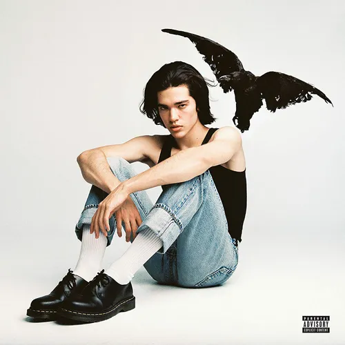 Conan Gray - Kid Krow vinyl record cover
