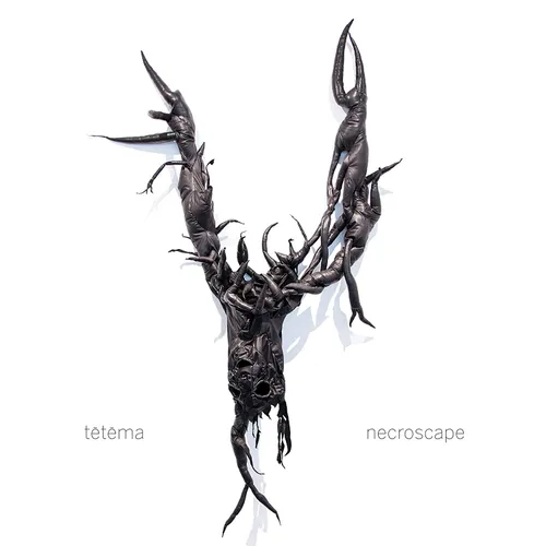 tētēma - Necroscape vinyl record cover
