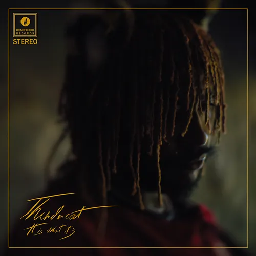 Thundercat - It Is What It Is vinyl record cover