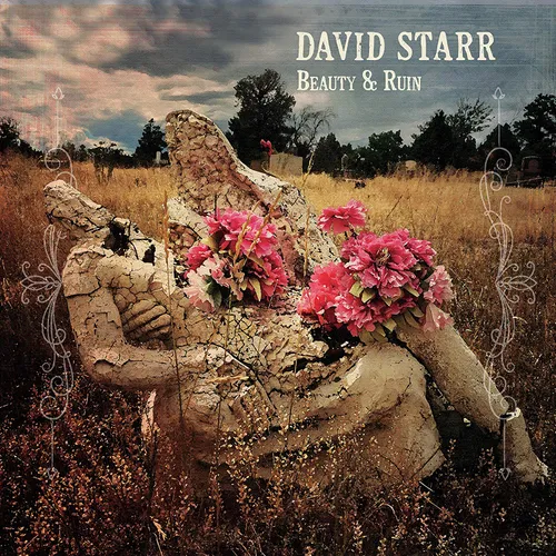 David Starr - Beauty & Ruin vinyl record cover