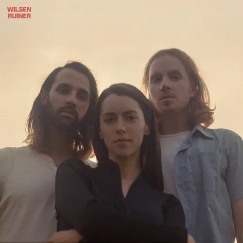 Wilsen - Ruiner vinyl record cover