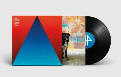 Jack Penate - After You vinyl record cover