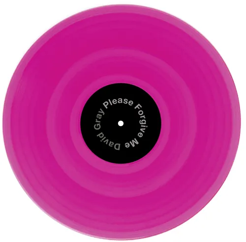 David Gray - Please Forgive Me 2020 vinyl record cover