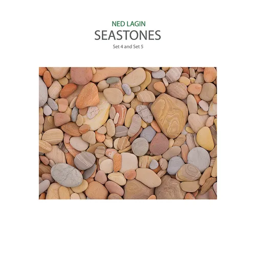 Ned Lagin - Seastones: Set 4 & Set 5 vinyl record cover