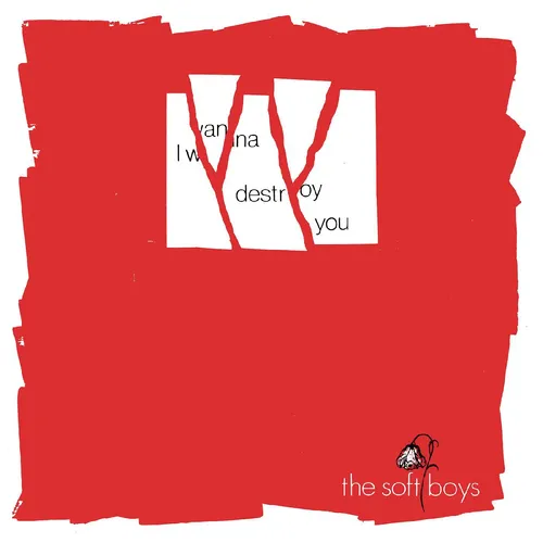 The Soft Boys - I Wanna Destroy You / Near The Soft Boys (40th Anniversary Edition) vinyl record cover