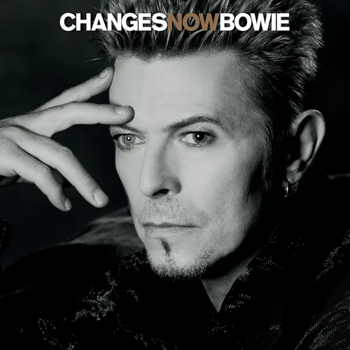 David Bowie - Changesnowbowie vinyl record cover