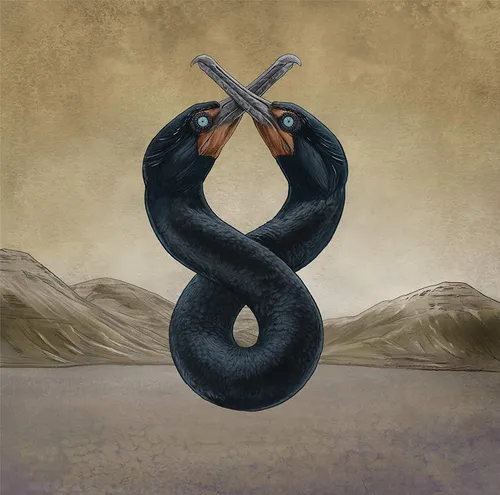 San Fermin - The Cormorant I & II vinyl record cover
