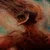 Ecdysis